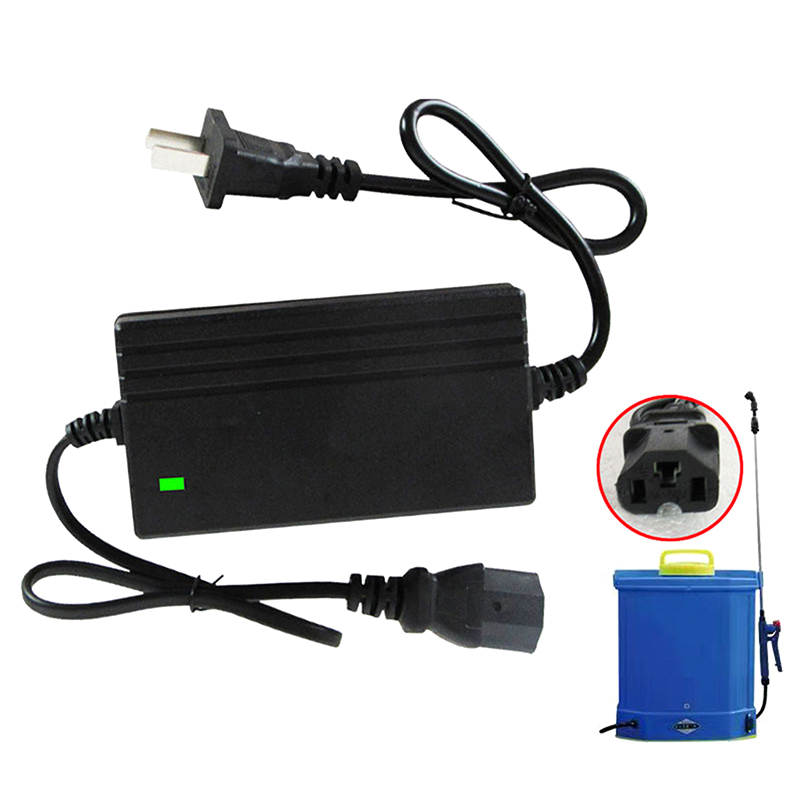 1A Lithium Battery Charger Spa - огляд і ціна Electric Gadget